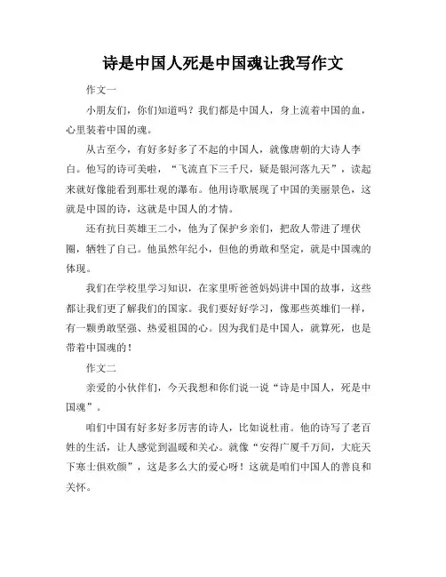 诗是中国人死是中国魂让我写作文