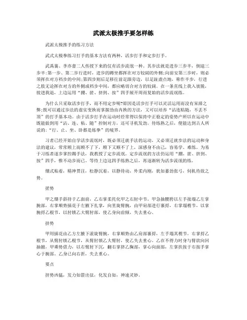武派太极推手要怎样练