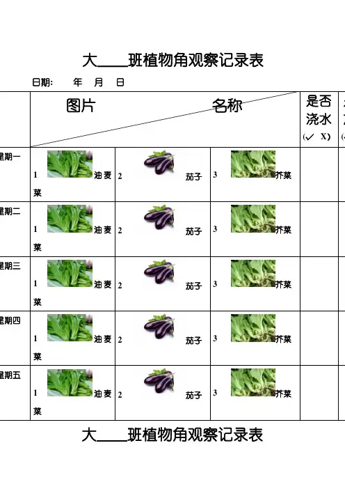 大     班植物角观察记录表。