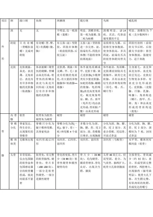 脊椎动物总结比较