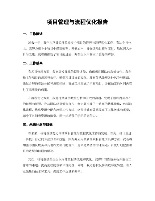 项目管理与流程优化报告
