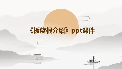 《板蓝根介绍》课件