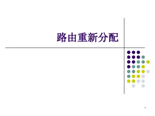 13-路由重新分配