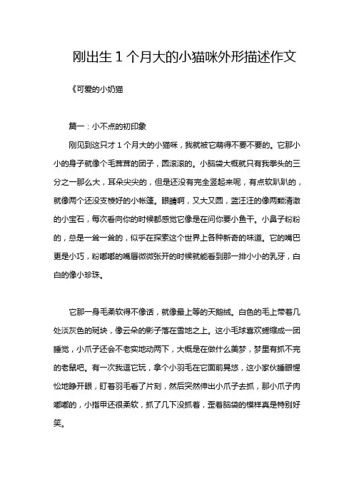 刚出生1个月大的小猫咪外形描述作文