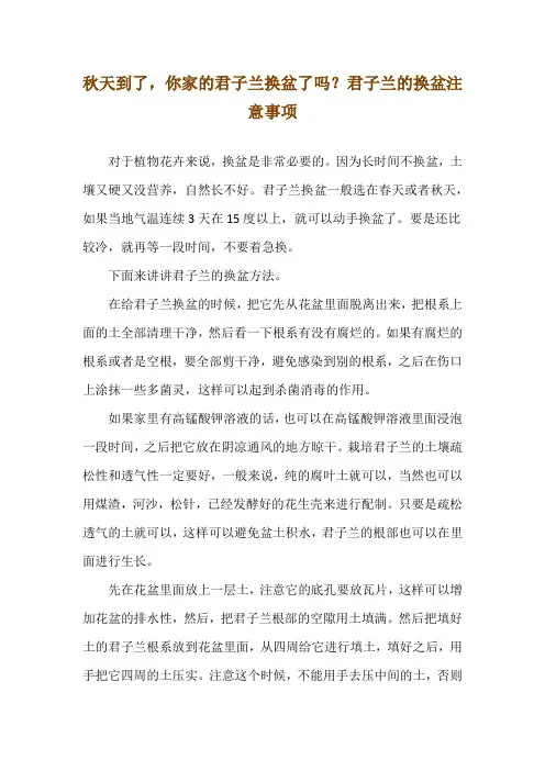 秋天到了,你家的君子兰换盆了吗？君子兰的换盆注意事项