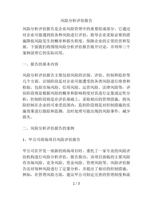 风险分析评估报告