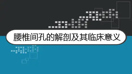 腰椎间孔的解剖及其临床意义 PPT