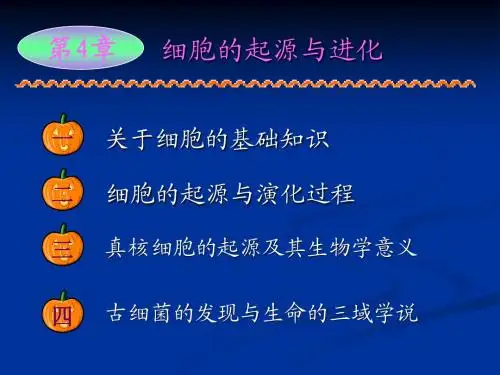 4细胞的起源1