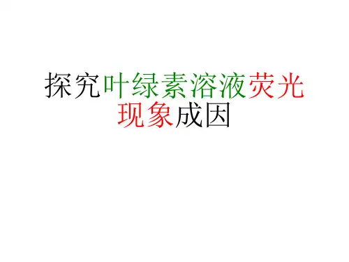 探究叶绿素溶液荧光现象成因