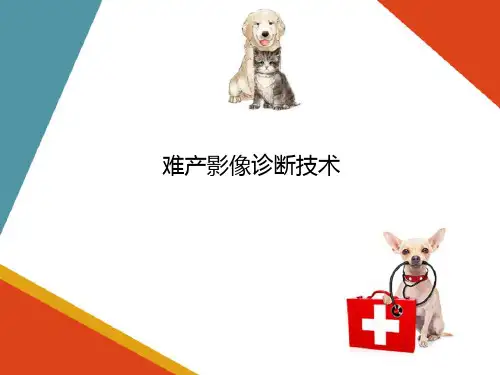临床常见宠物疾病影像诊断技术—生殖系统常见疾病影像诊断技术