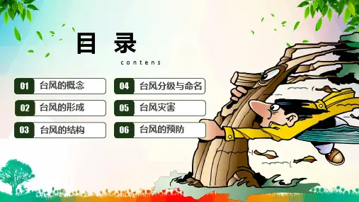 防御台风防汛抗洪知识辅导课堂教学PPT课件