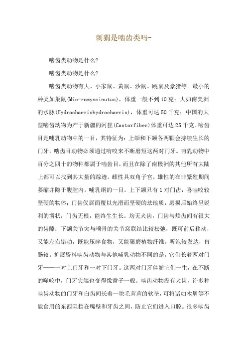 刺猬是啮齿类吗--啮齿类动物是什么-