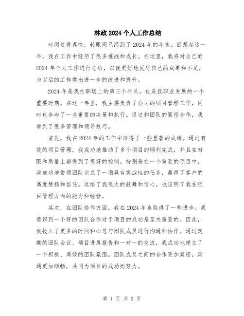 林政2024个人工作总结