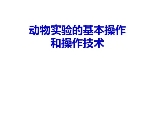 动物实验基本操作PPT课件