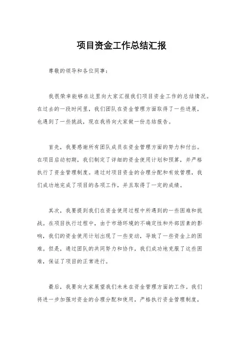 项目资金工作总结汇报