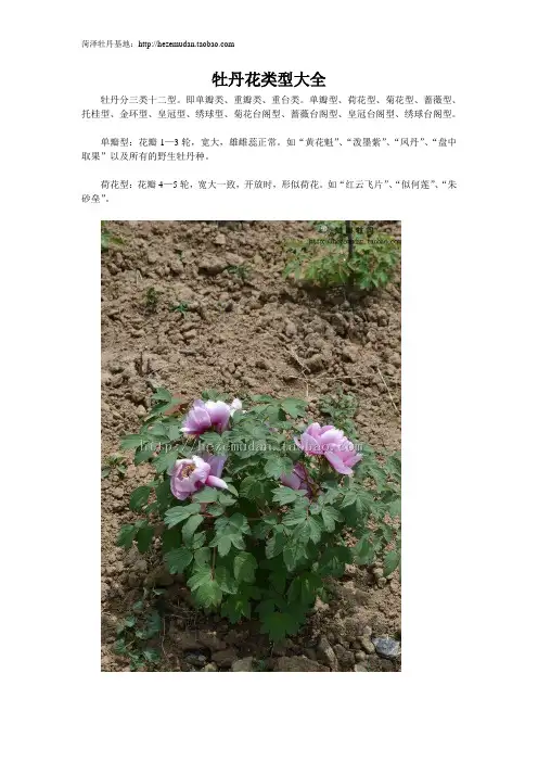 菏泽牡丹基地-牡丹花型介绍