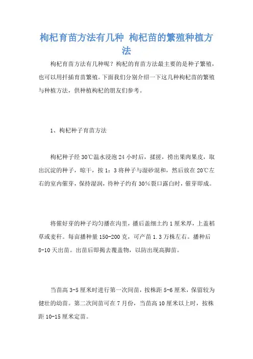 枸杞育苗方法有几种 枸杞苗的繁殖种植方法
