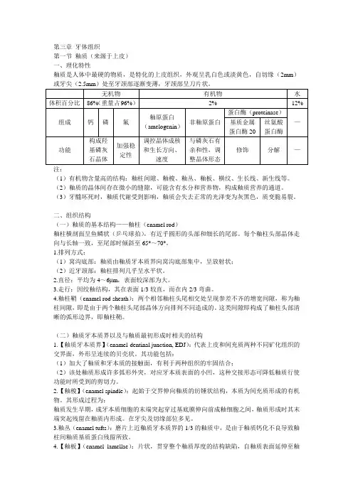 口腔知识 牙体组织