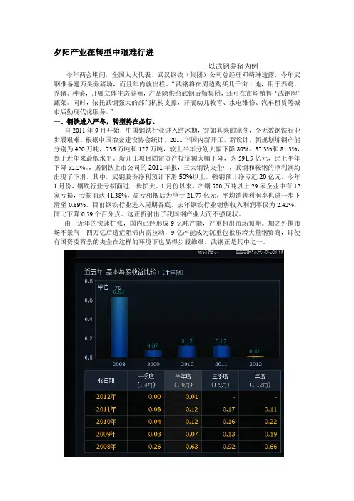 武钢转型战略分析