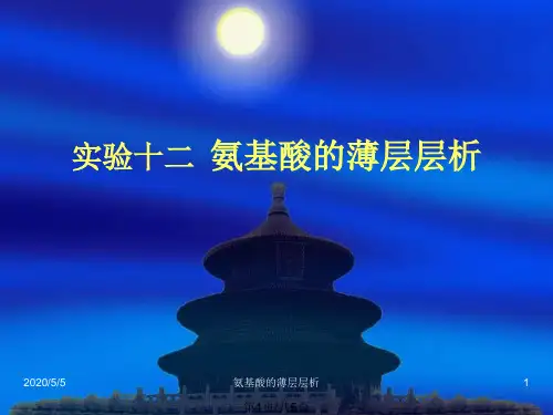 氨基酸的薄层层析实验