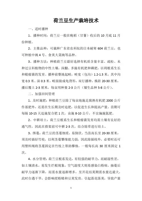 荷兰豆生产栽培技术