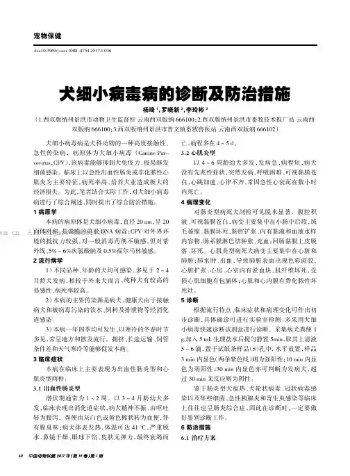 犬细小病毒病的诊断及防治措施