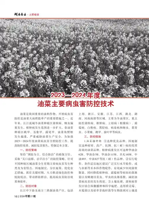 2023—2024_年度油菜主要病虫害防控技术