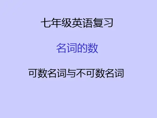 名词 人教版中考英语专题复习(共23张PPT)