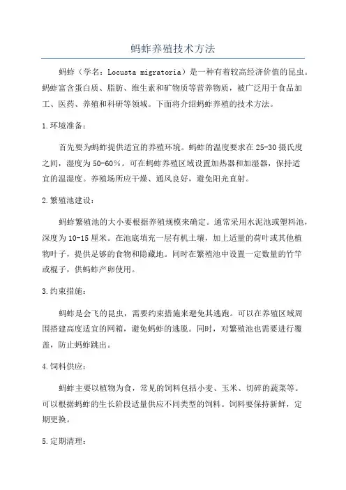 蚂蚱养殖技术方法