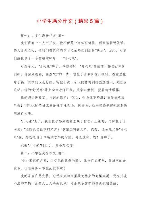 小学生满分作文(精彩5篇)