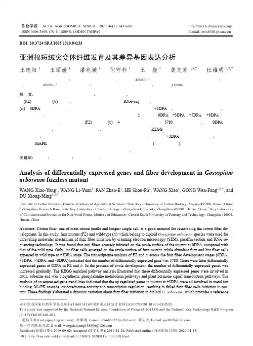 亚洲棉短绒突变体纤维发育及其差异基因表达分析