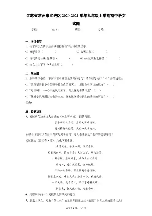江苏省常州市武进区2020-2021学年九年级上学期期中语文试题(含答案解析)