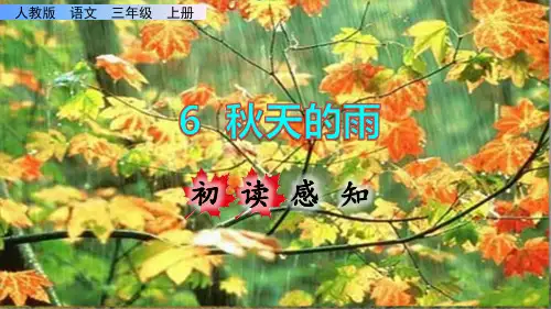 《秋天的雨》课件PPT(完美版)三年级上册语文部编