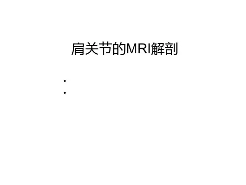 肩关节MRI解剖ppt课件