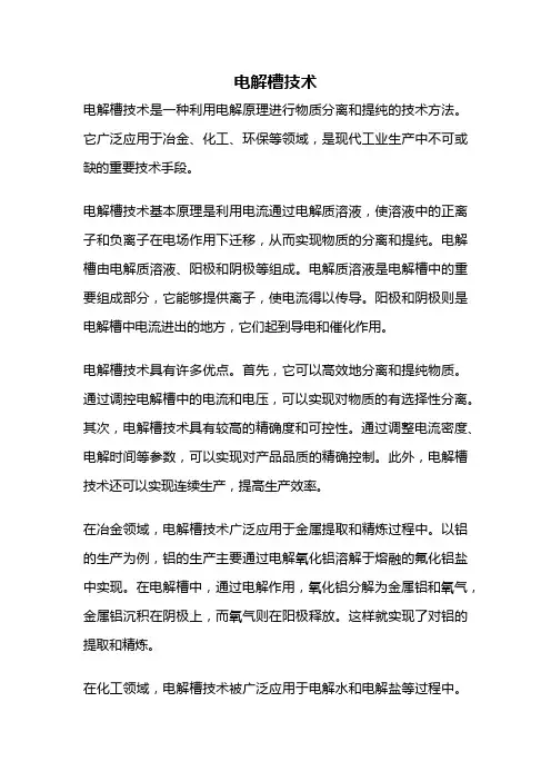 电解槽技术