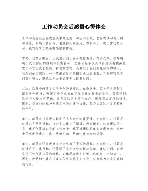 工作动员会后感悟心得体会