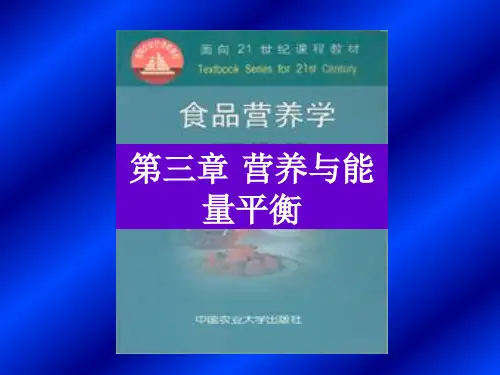 人体能量需要