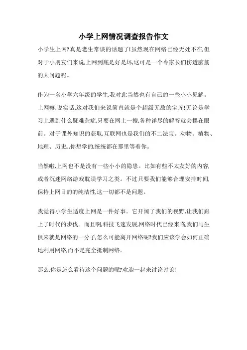 小学上网情况调查报告作文