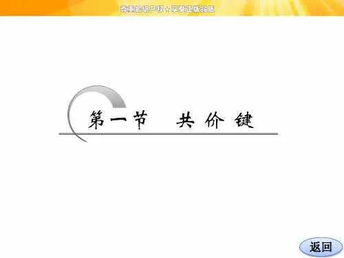 《2-1 共价键》 课件4