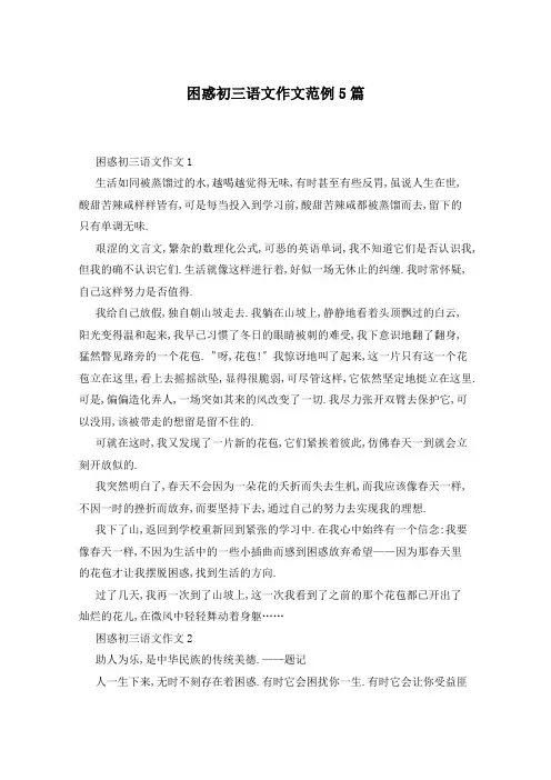 困惑初三语文作文范例5篇