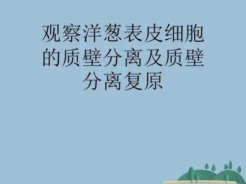 观察洋葱表皮细胞的质壁分离及质壁分离复原