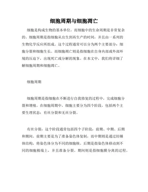 细胞周期与细胞凋亡