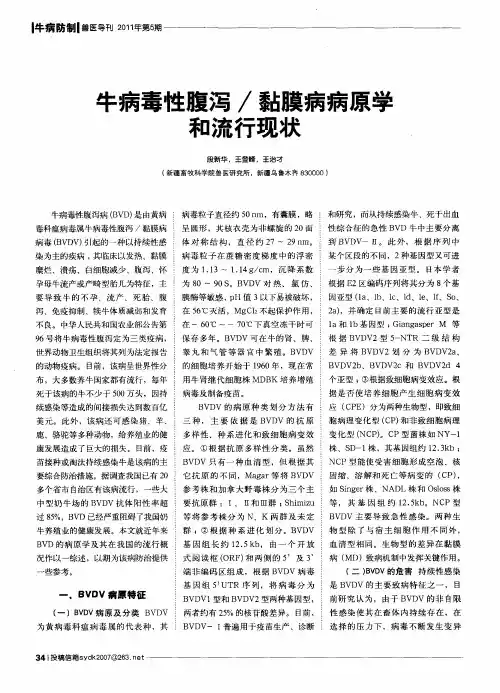 牛病毒性腹泻／黏膜病病原学和流行现状