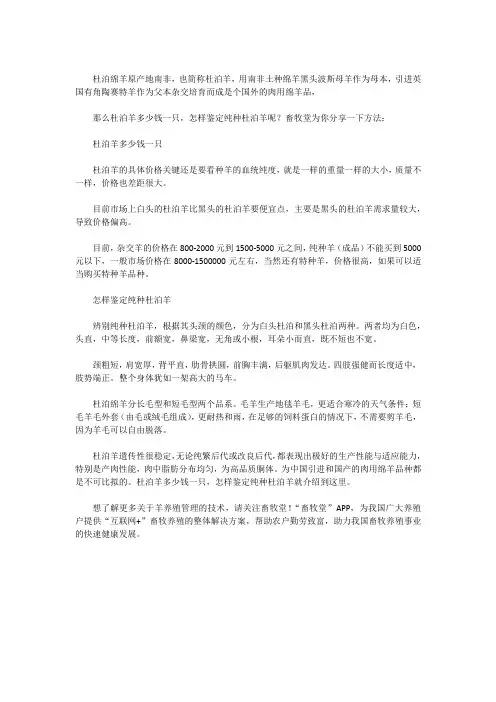 如何鉴定纯种杜泊羊？多少钱一只杜泊羊？