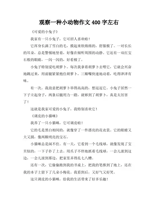 观察一种小动物作文400字左右