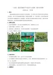 (大班)我们的城市个别化学习活动：城市高架路