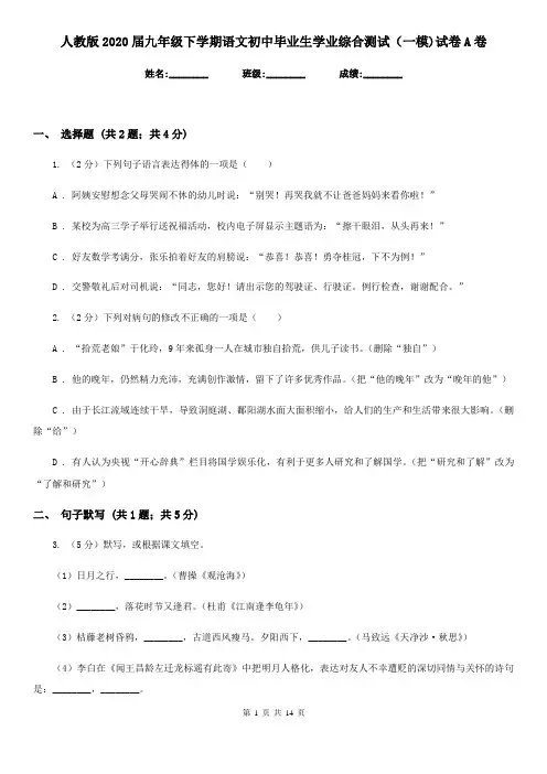 人教版2020届九年级下学期语文初中毕业生学业综合测试(一模)试卷A卷
