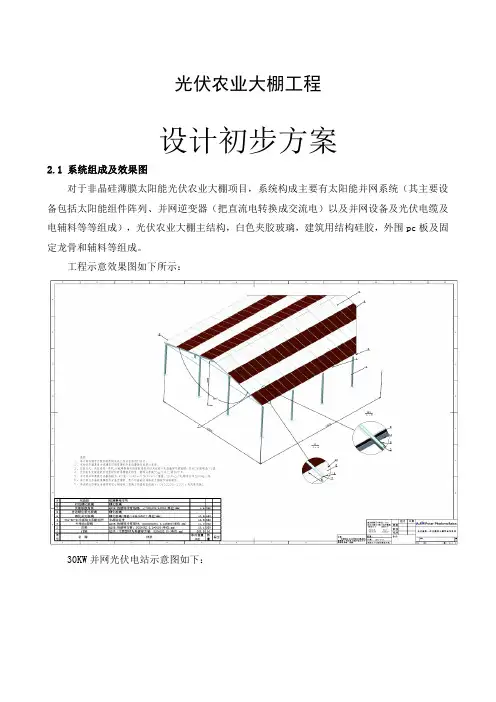大棚光伏