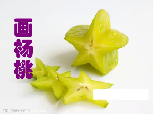 《画杨桃》ppt课件精品