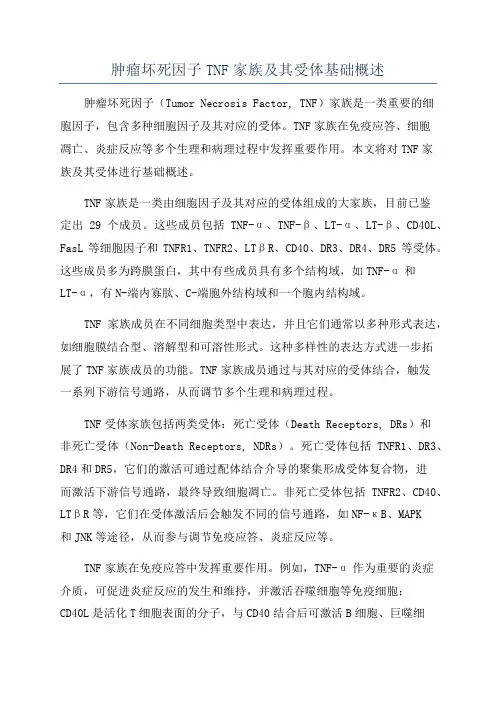 肿瘤坏死因子TNF家族及其受体基础概述